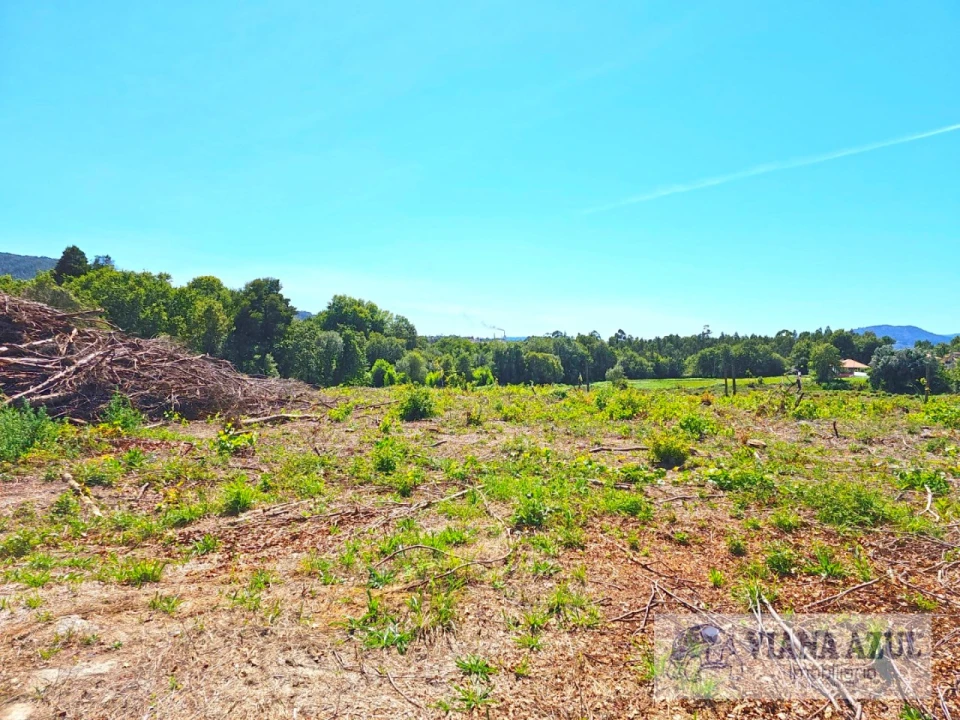 Terreno Comércio / Armazém para Venda em Geraz do Lima (Santa Maria, Santa Leocádia, Moreira), Deão Foto 3