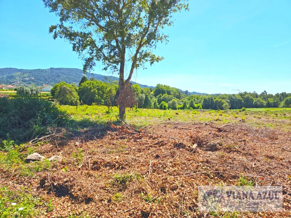 Terreno Comércio / Armazém para Venda em Geraz do Lima (Santa Maria, Santa Leocádia, Moreira), Deão Foto 11