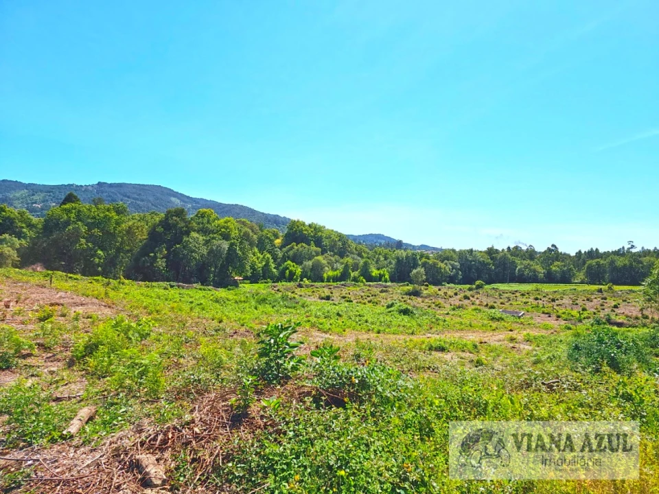 Terreno Comércio / Armazém para Venda em Geraz do Lima (Santa Maria, Santa Leocádia, Moreira), Deão Foto 13