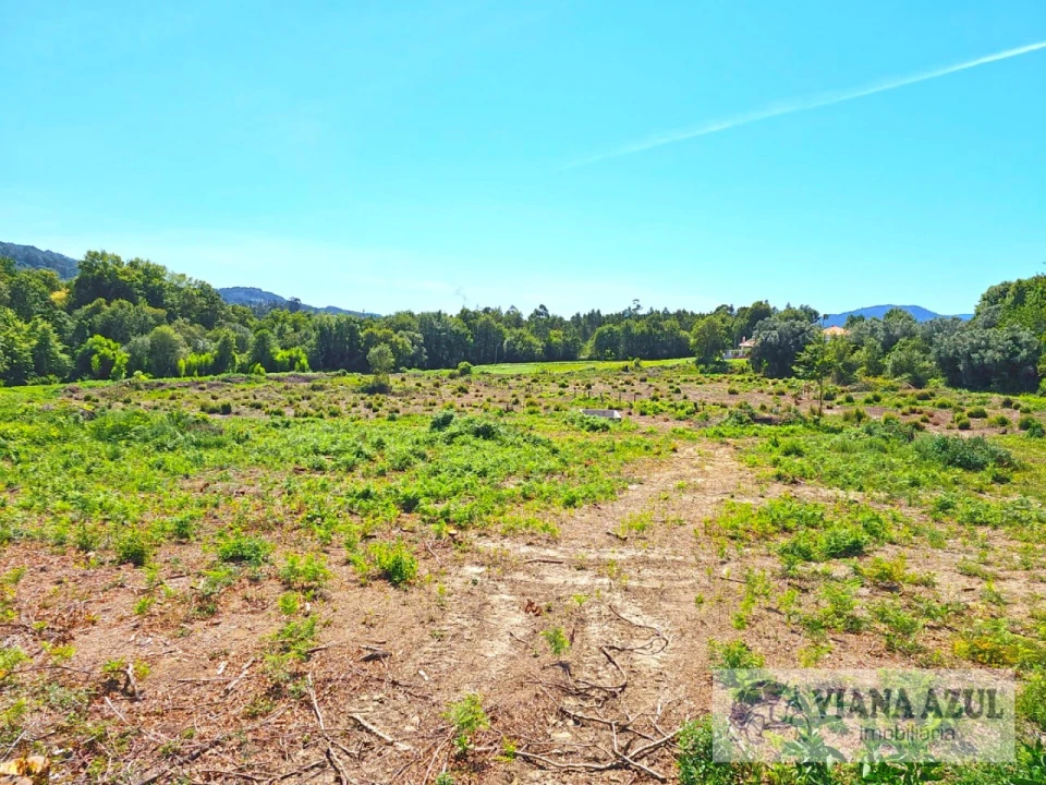 Terreno Comércio / Armazém para Venda em Geraz do Lima (Santa Maria, Santa Leocádia, Moreira), Deão Foto 16