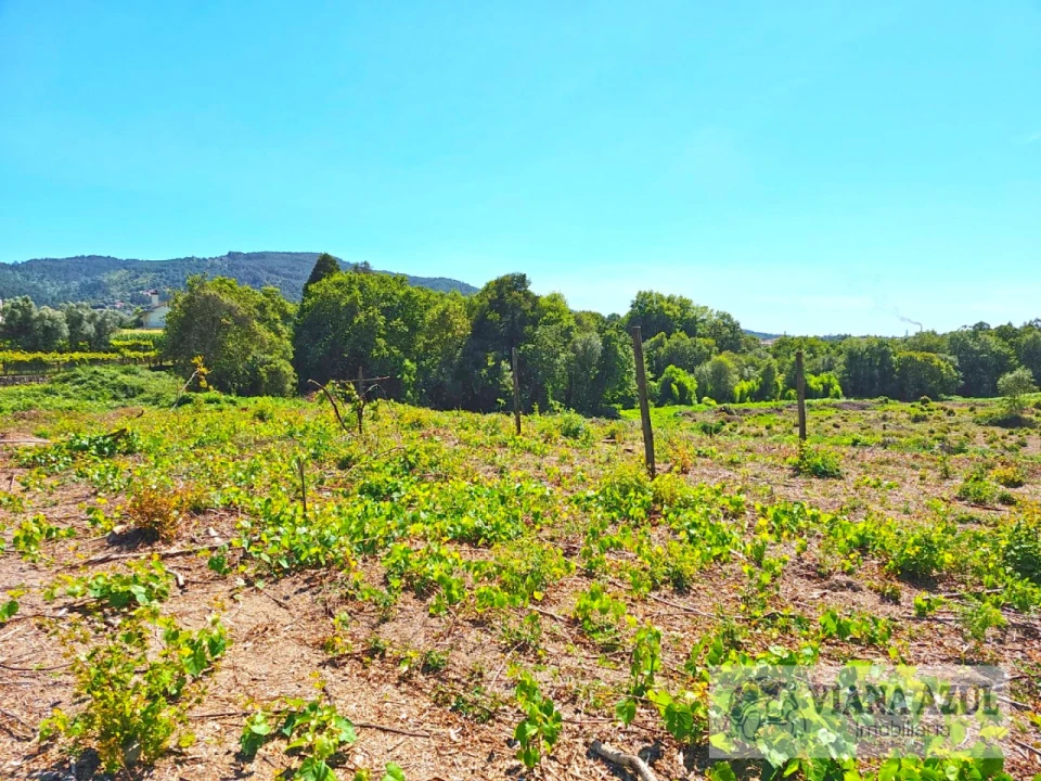 Terreno Comércio / Armazém para Venda em Geraz do Lima (Santa Maria, Santa Leocádia, Moreira), Deão Foto 20