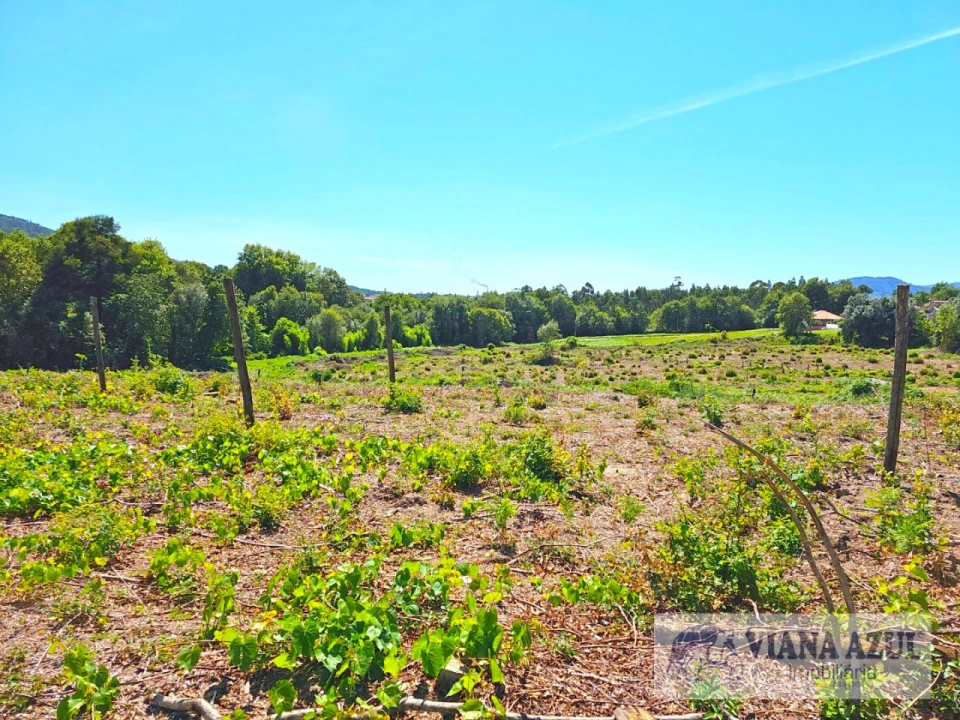 Terreno Comércio / Armazém para Venda em Geraz do Lima (Santa Maria, Santa Leocádia, Moreira), Deão Foto 21