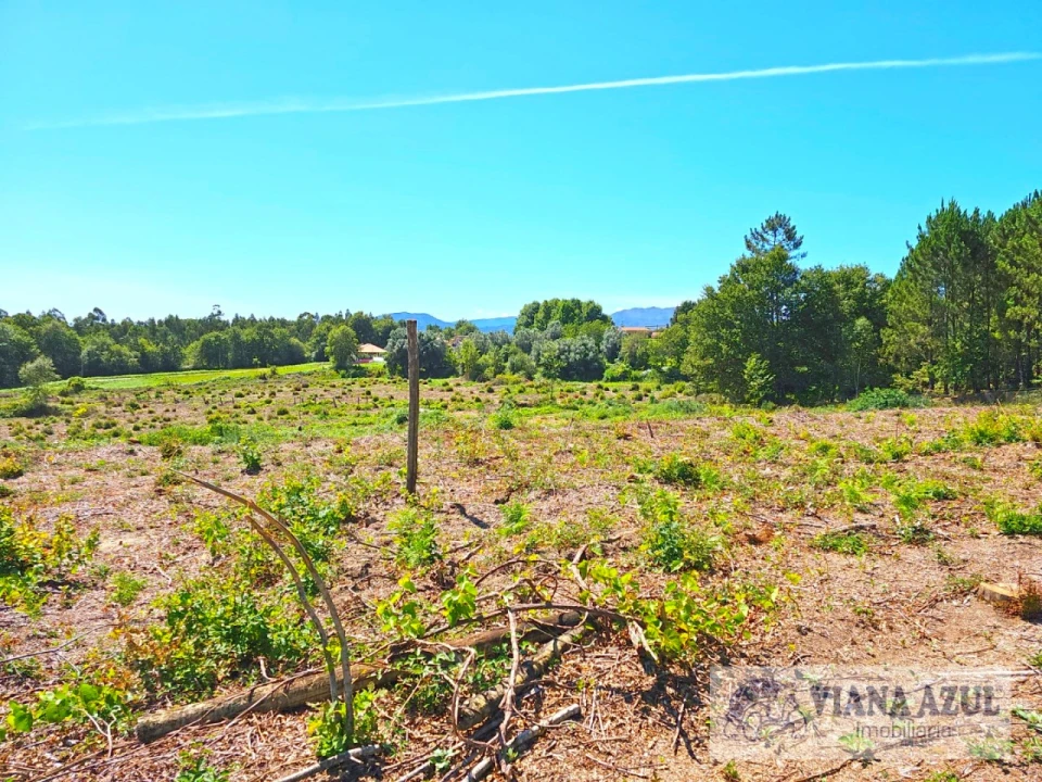 Terreno Comércio / Armazém para Venda em Geraz do Lima (Santa Maria, Santa Leocádia, Moreira), Deão Foto 22