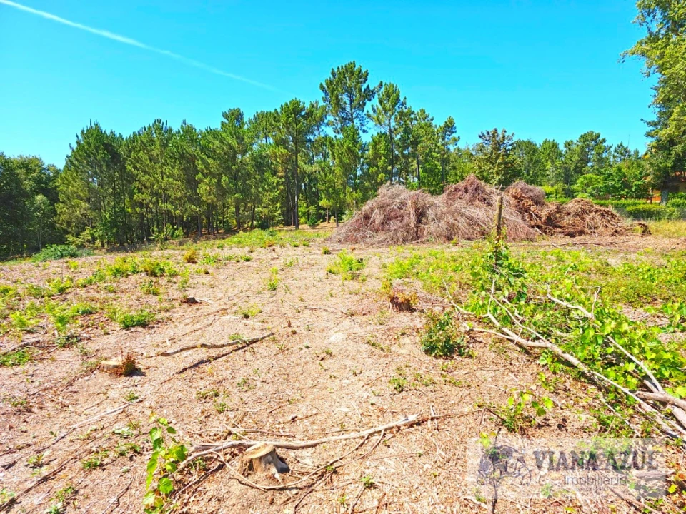 Terreno Comércio / Armazém para Venda em Geraz do Lima (Santa Maria, Santa Leocádia, Moreira), Deão Foto 23
