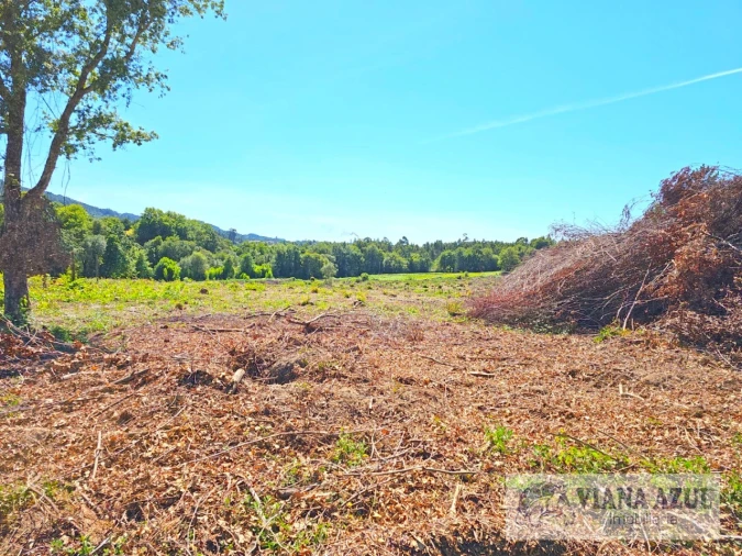Terreno Comércio / Armazém para Venda em Geraz do Lima (Santa Maria, Santa Leocádia, Moreira), Deão Foto 10