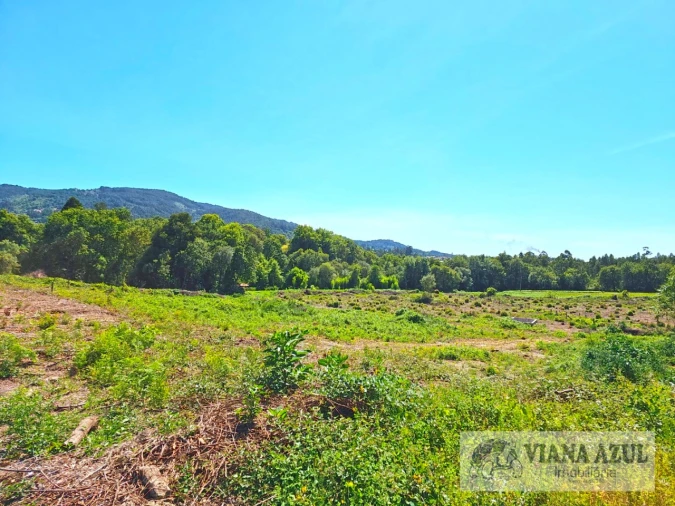 Terreno Comércio / Armazém para Venda em Geraz do Lima (Santa Maria, Santa Leocádia, Moreira), Deão Foto 13