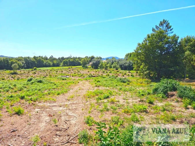 Terreno Comércio / Armazém para Venda em Geraz do Lima (Santa Maria, Santa Leocádia, Moreira), Deão Foto 15