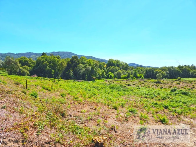 Terreno Comércio / Armazém para Venda em Geraz do Lima (Santa Maria, Santa Leocádia, Moreira), Deão Foto 17