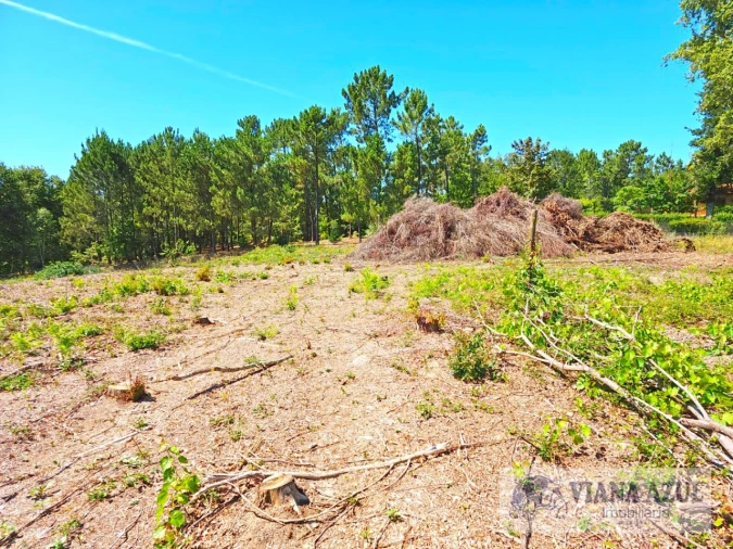 Terreno Comércio / Armazém para Venda em Geraz do Lima (Santa Maria, Santa Leocádia, Moreira), Deão Foto 23