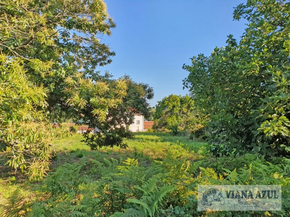 Terreno para Venda em Santa Maria Maior e Monserrate e Meadela Foto 14
