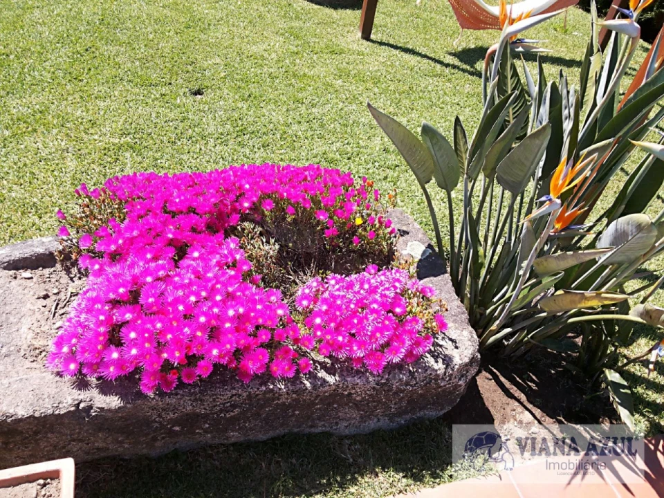 Quinta T5 para Venda em Santa Marta de Portuzelo Foto 25