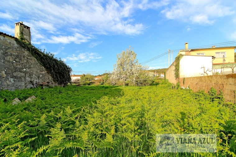 Quinta T3 para Venda em Areosa Foto 18