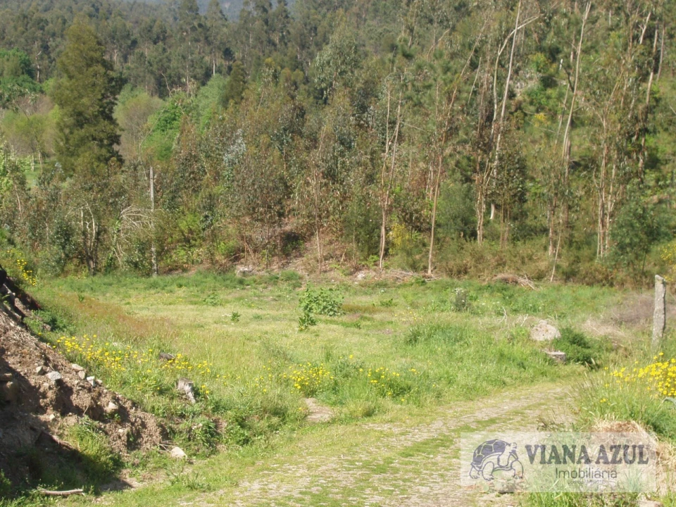 Terreno para Venda em Estorãos Foto 3