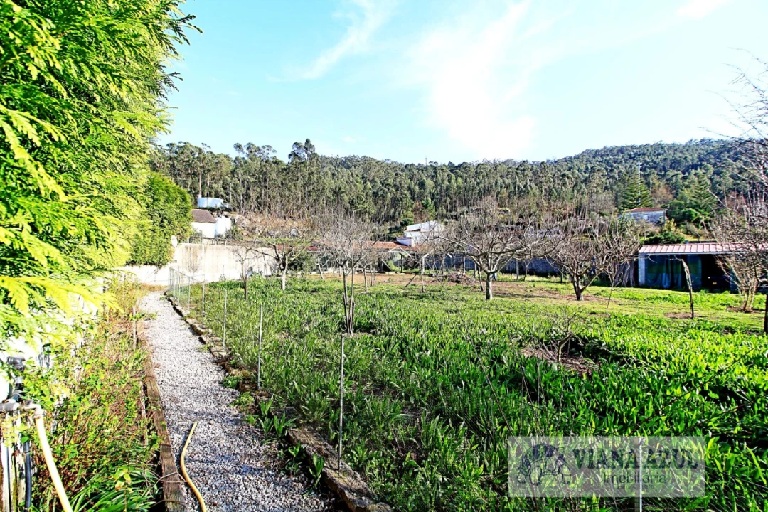 Moradia T4 para Venda em Vila Franca Foto 31