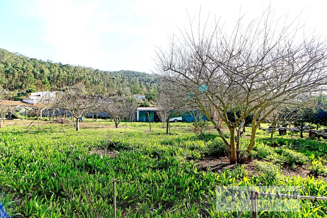 Moradia T4 para Venda em Vila Franca Foto 33