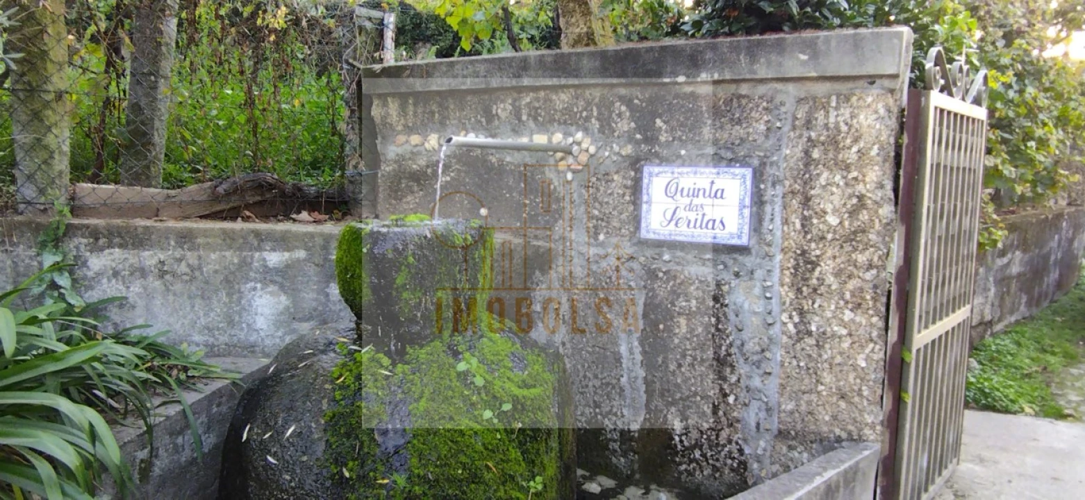 Quinta para Venda em Vilarinho Foto 3