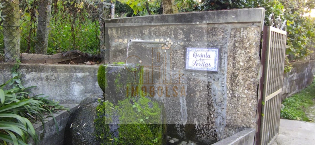 Quinta para Venda em Vilarinho Foto 3