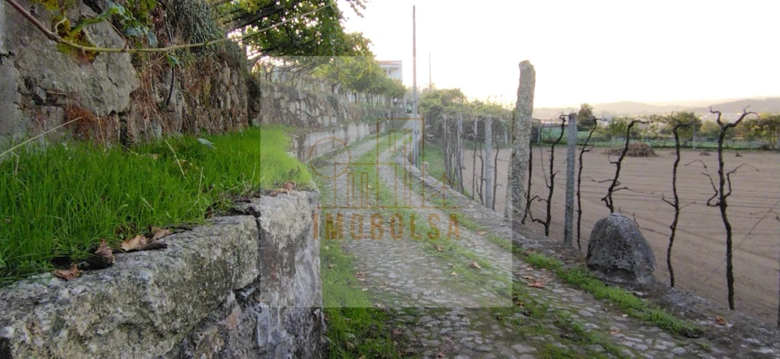 Quinta para Venda em Vilarinho Foto 5