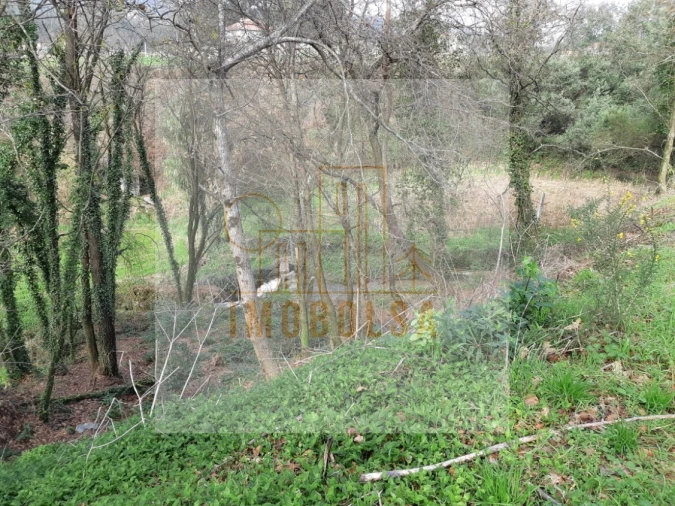 Terreno para Venda em Sequeade e Bastuço (São João e Santo Estêvão) Foto 9