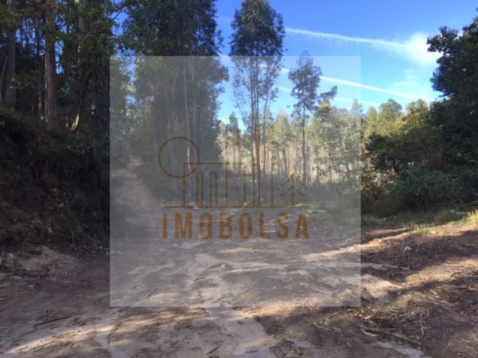 Terreno para Venda em Requião Foto 1