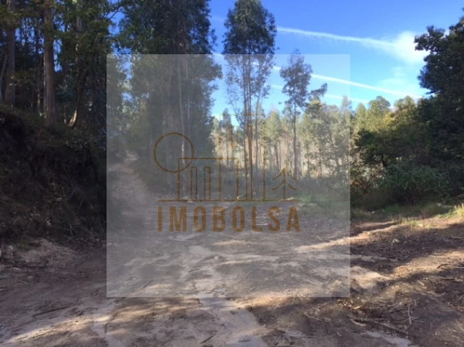 Terreno para Venda em Requião Foto 1