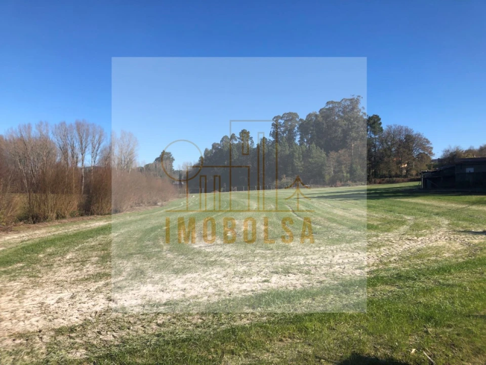 Terreno Agricola ou Rústico para Venda em Antas e Abade de Vermoim Foto 1