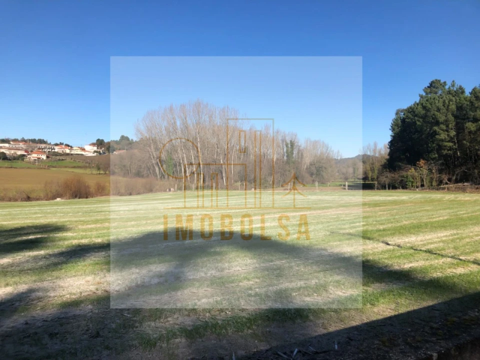 Terreno Agricola ou Rústico para Venda em Antas e Abade de Vermoim Foto 4