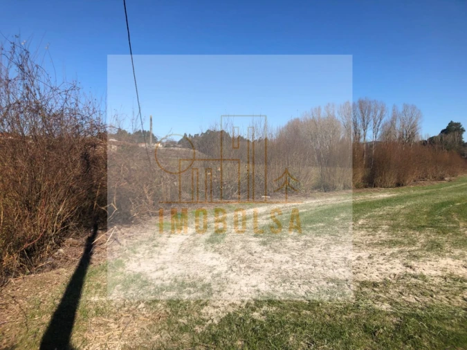 Terreno Agricola ou Rústico para Venda em Antas e Abade de Vermoim Foto 3