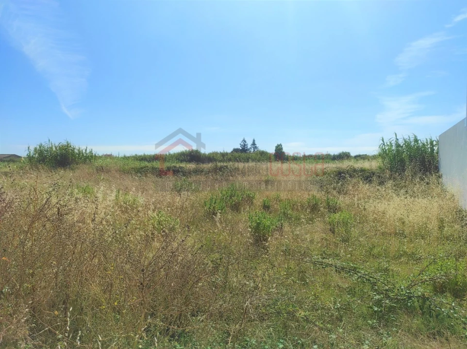 Terreno para Venda em Peniche Foto 4