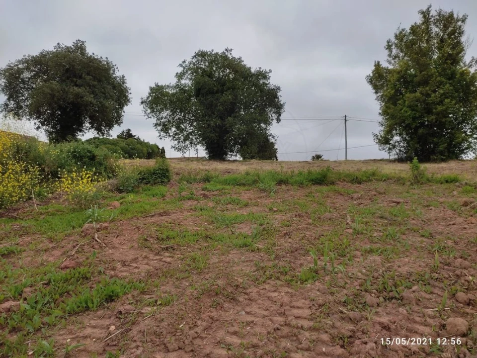 Terreno para Venda em Lamas e Cercal Foto 8