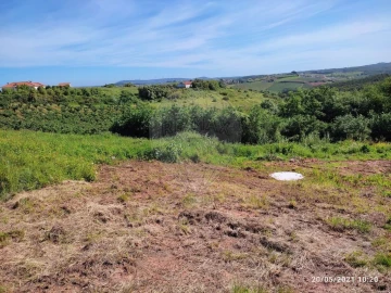 Terreno para Venda em Lamas e Cercal