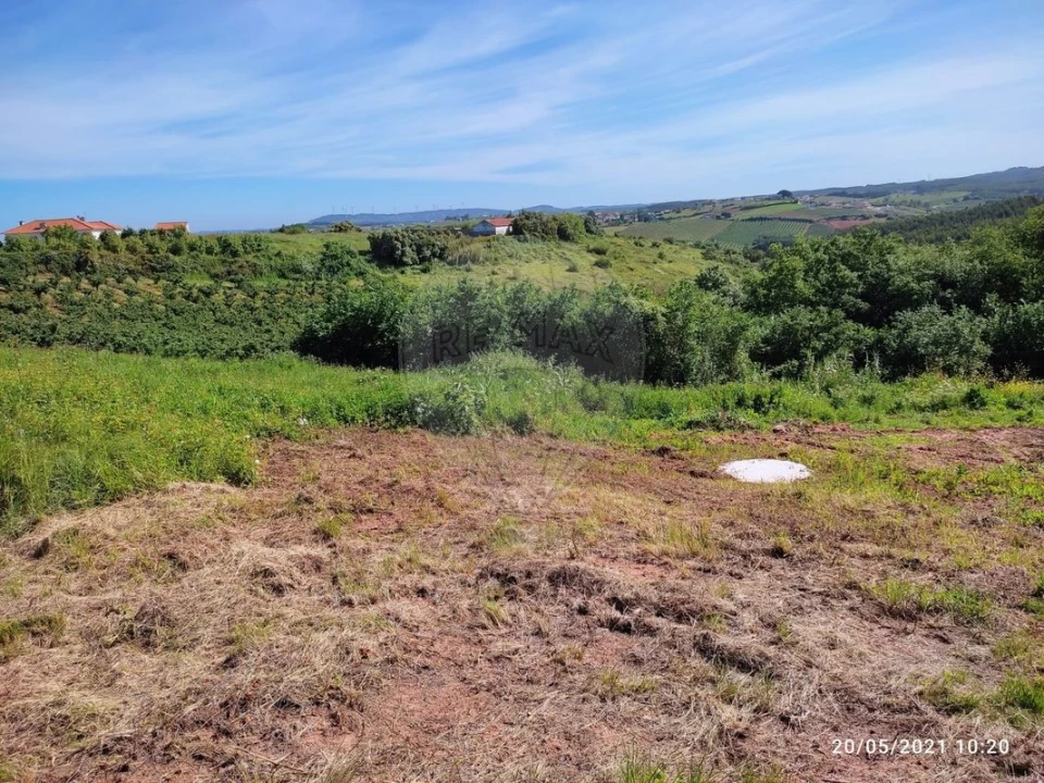 Terreno para Venda em Lamas e Cercal Foto 15