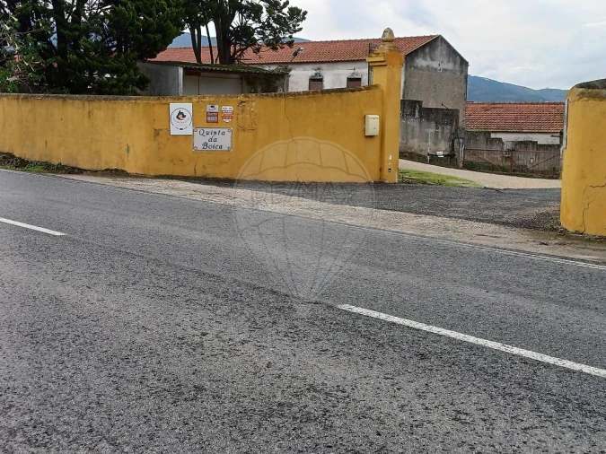 Terreno para Venda em Lamas e Cercal Foto 19