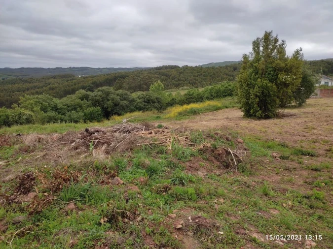 Terreno para Venda em Lamas e Cercal Foto 4