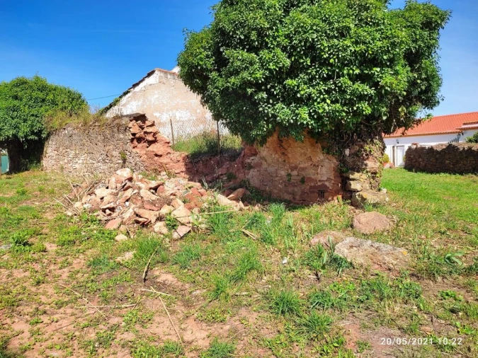Terreno para Venda em Lamas e Cercal Foto 11