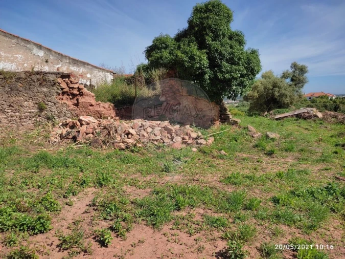 Terreno para Venda em Lamas e Cercal Foto 2