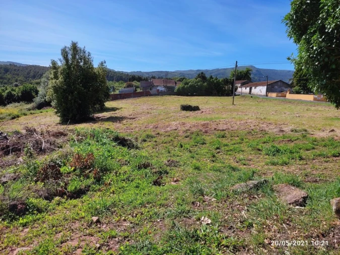 Terreno para Venda em Lamas e Cercal Foto 13