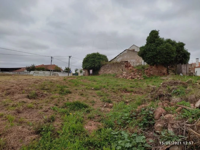 Terreno para Venda em Lamas e Cercal Foto 6