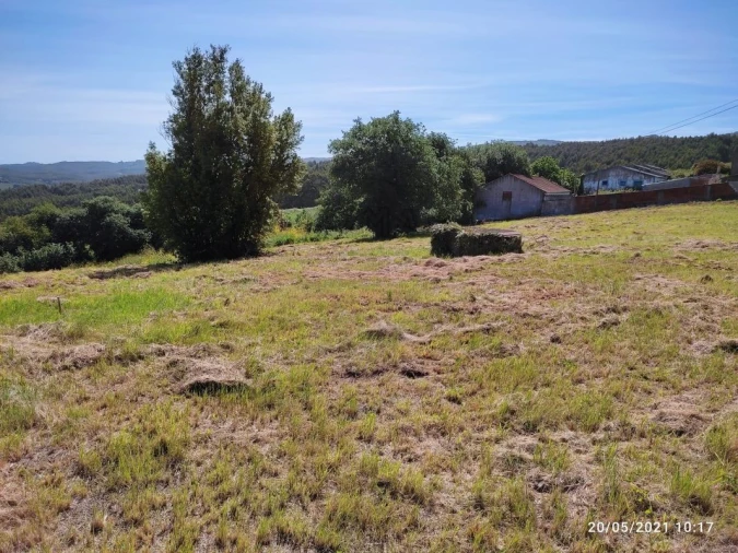 Terreno para Venda em Lamas e Cercal Foto 17