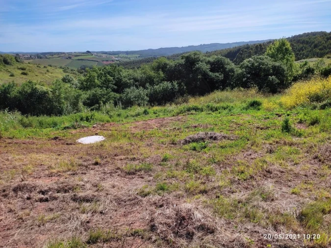 Terreno para Venda em Lamas e Cercal Foto 14