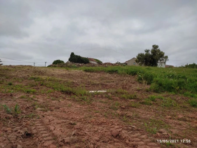 Terreno para Venda em Lamas e Cercal Foto 9