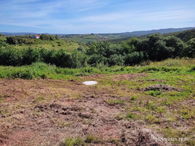 Terreno para Venda em Lamas e Cercal Foto 16