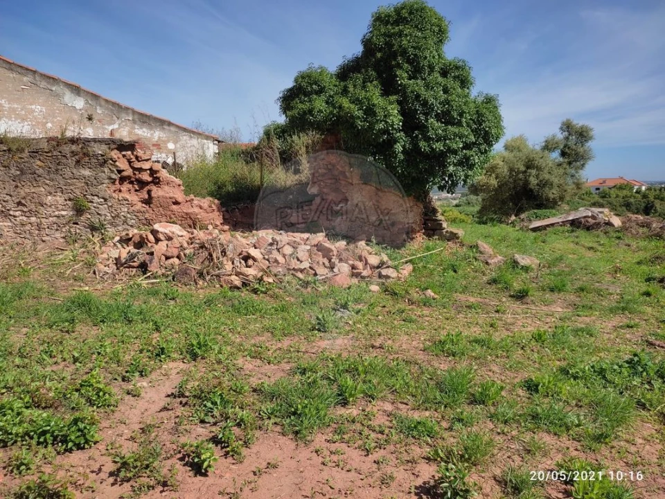Terreno para Venda em Lamas e Cercal Foto 2