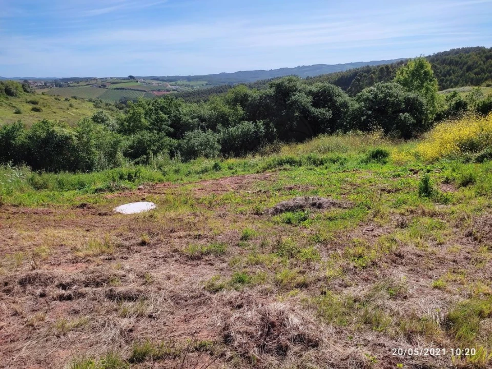 Terreno para Venda em Lamas e Cercal Foto 14