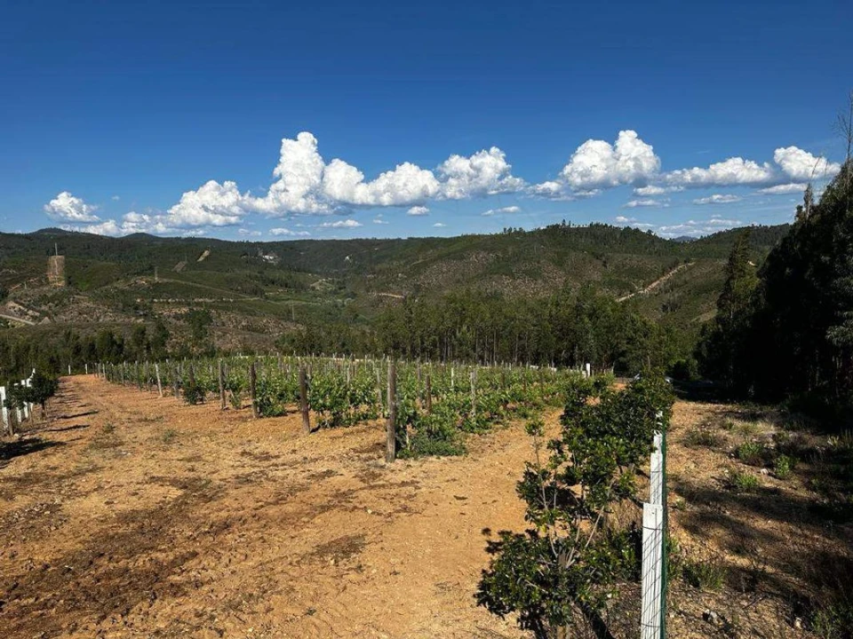 Terreno para Venda em Vila de Rei Foto 9