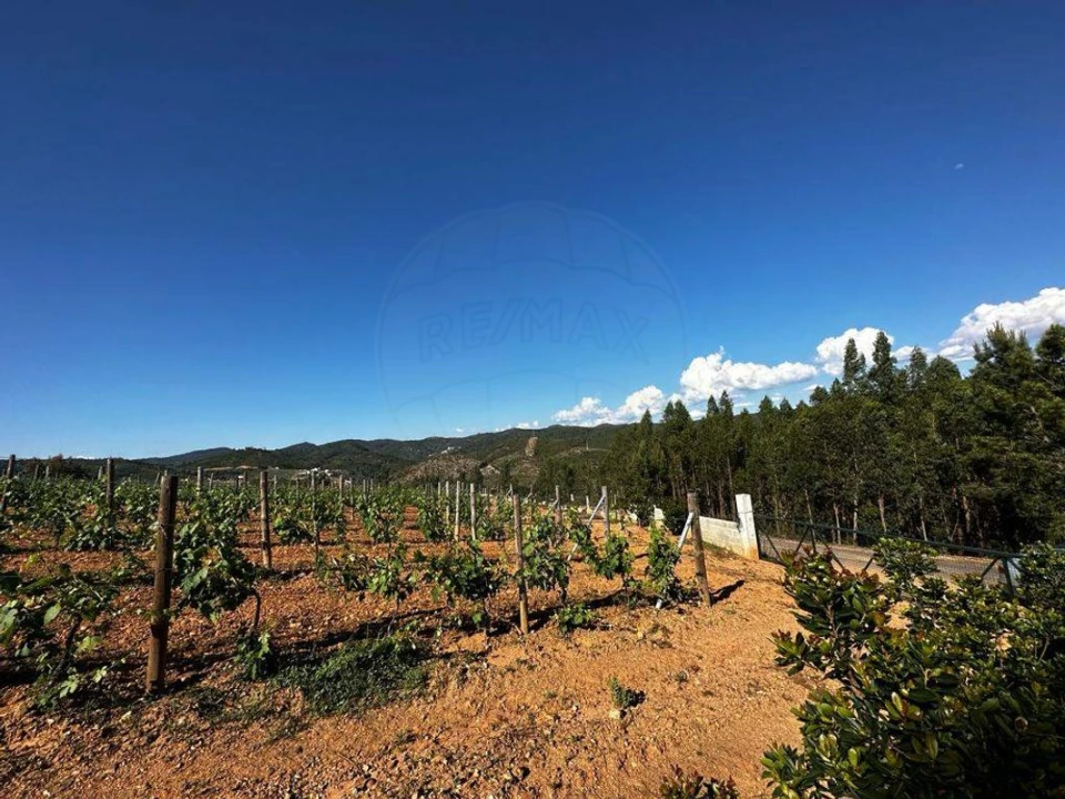 Terreno para Venda em Vila de Rei Foto 14