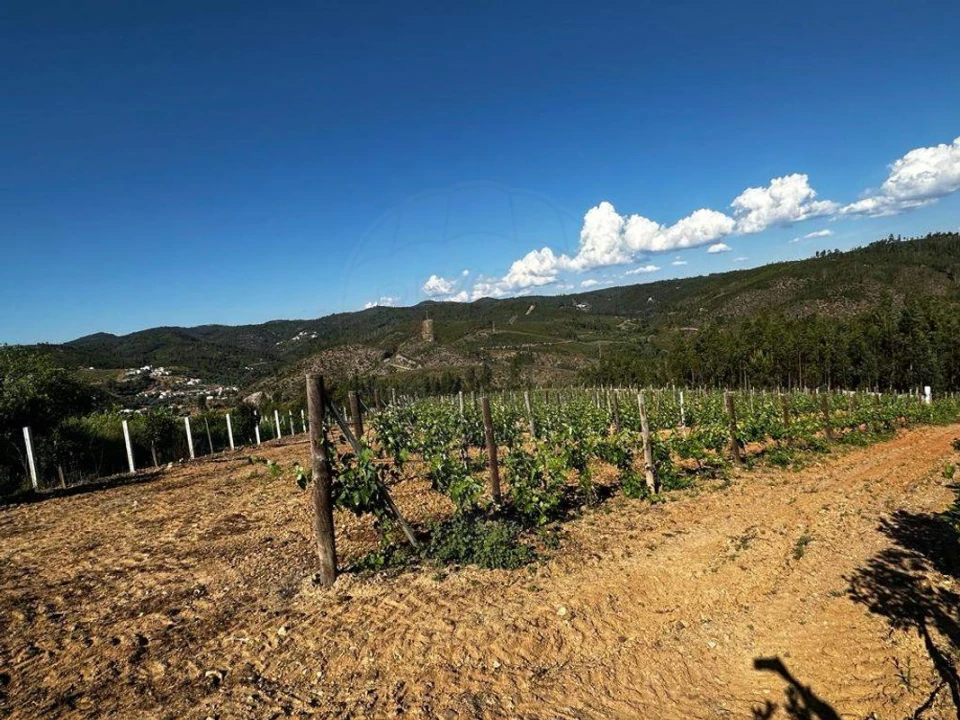 Terreno para Venda em Vila de Rei Foto 18
