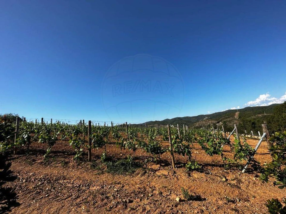 Terreno para Venda em Vila de Rei Foto 19