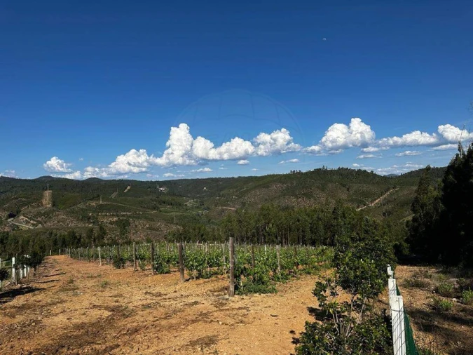 Terreno para Venda em Vila de Rei Foto 8