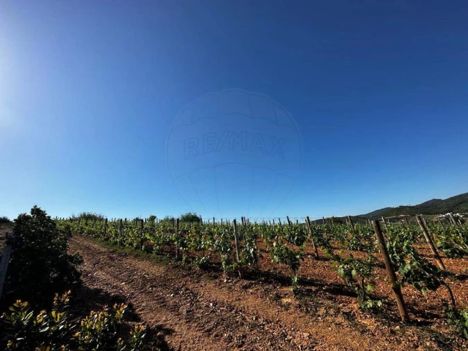 Terreno para Venda em Vila de Rei Foto 13